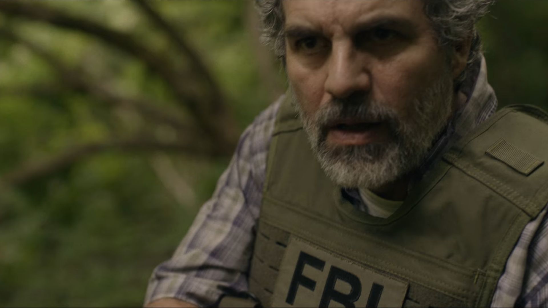 Mark Ruffalo