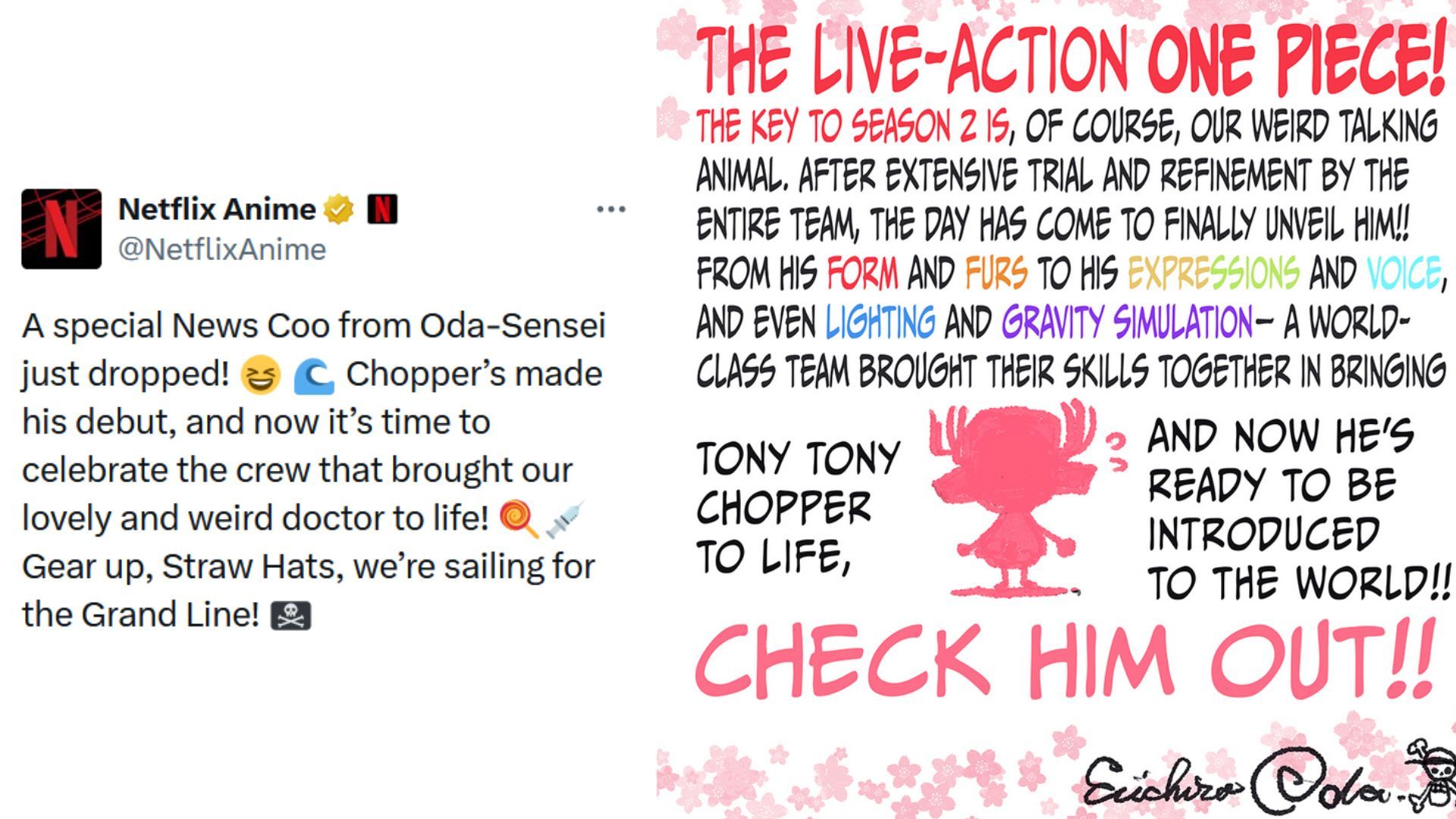 Comments made by Eiichiro Oda. (Image Via: X/@NetflixAnime)