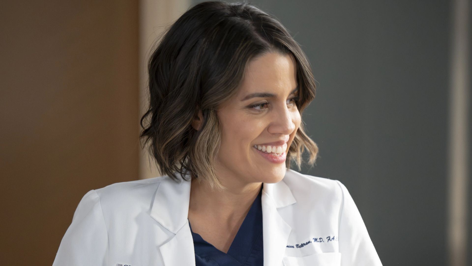 Monica Beltran in Grey&rsquo;s Anatomy (Image via Fandom)