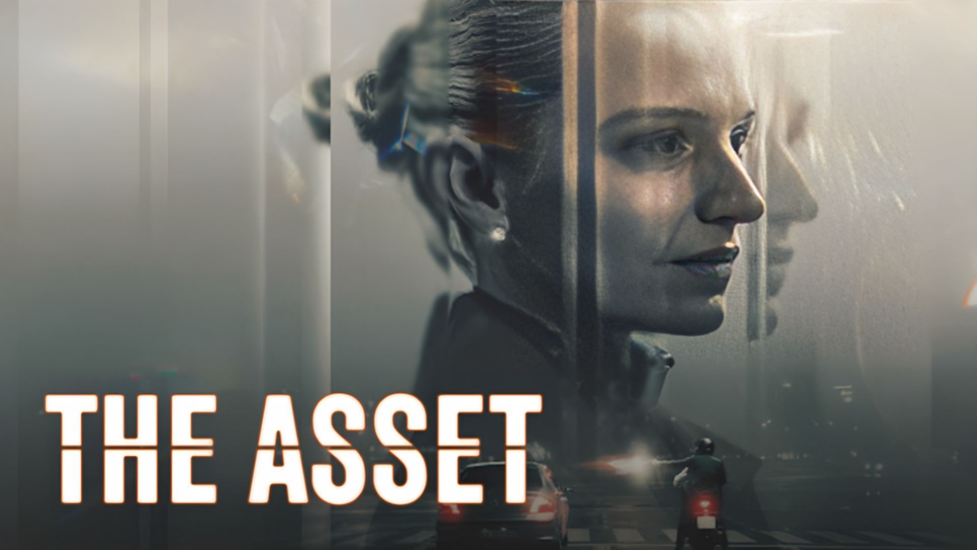 The Asset Season 1 (Poster Via: Netflix)
