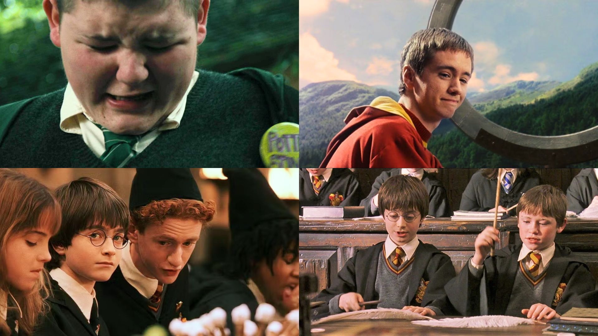Harry Potter stars who did not pursue acting as a career | Images via Hotstar, SYFI, &amp; HBO