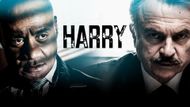 Harry - A TV show like The Lowdown | Image via Prime Video
