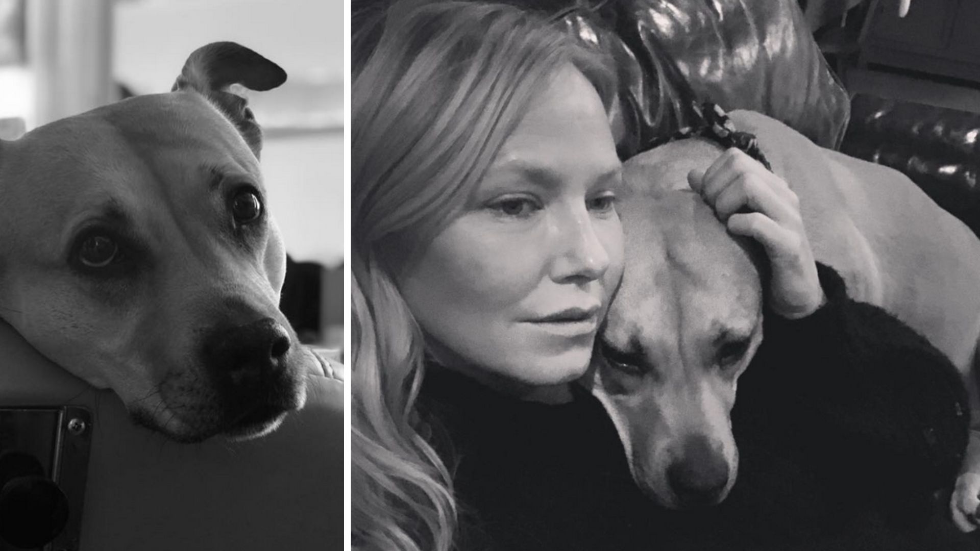 Kelli Giddish as Sgt. Amanda Rollins &amp; Frannie. (Image Via: Instagram/@kelligiddish)