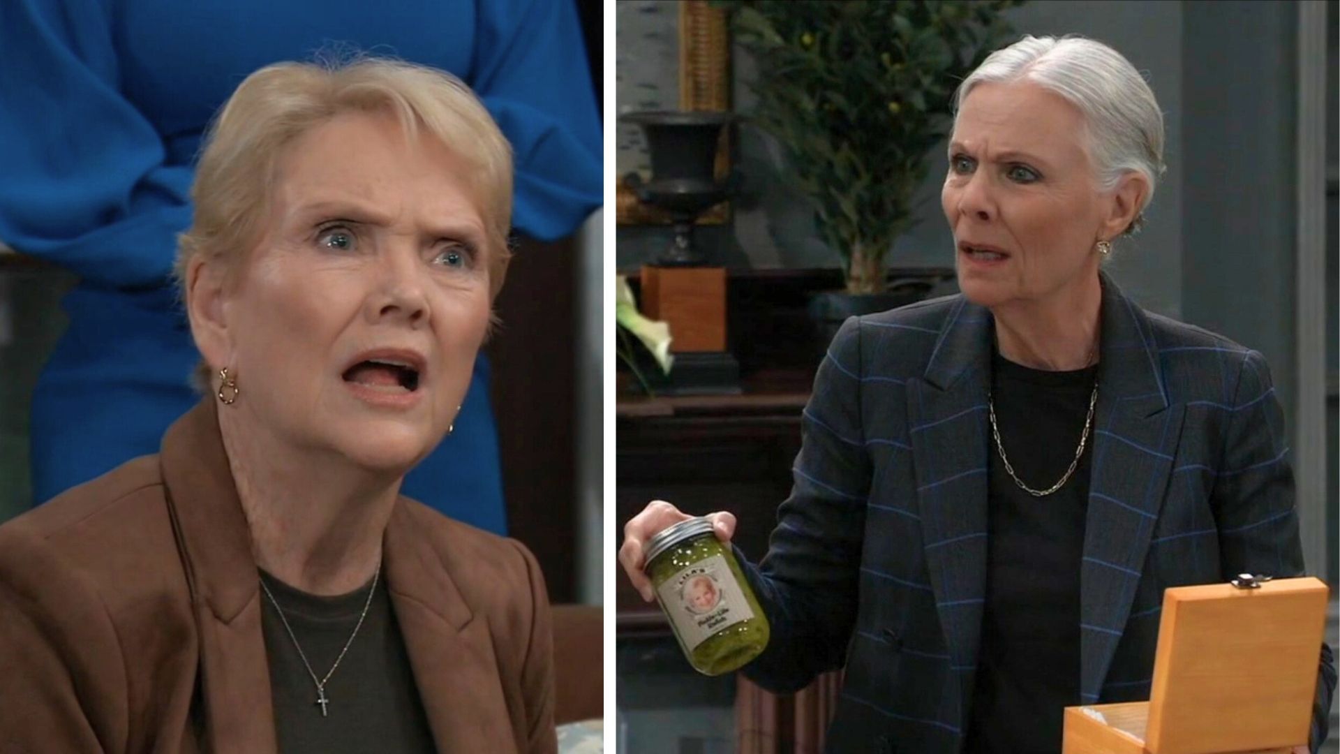 Ronnie gets the house and Tracy gets Pickle Lila-ed again on General Hospital | Image: ABC