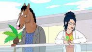 Bojack Horseman (Image Source: Netflix)