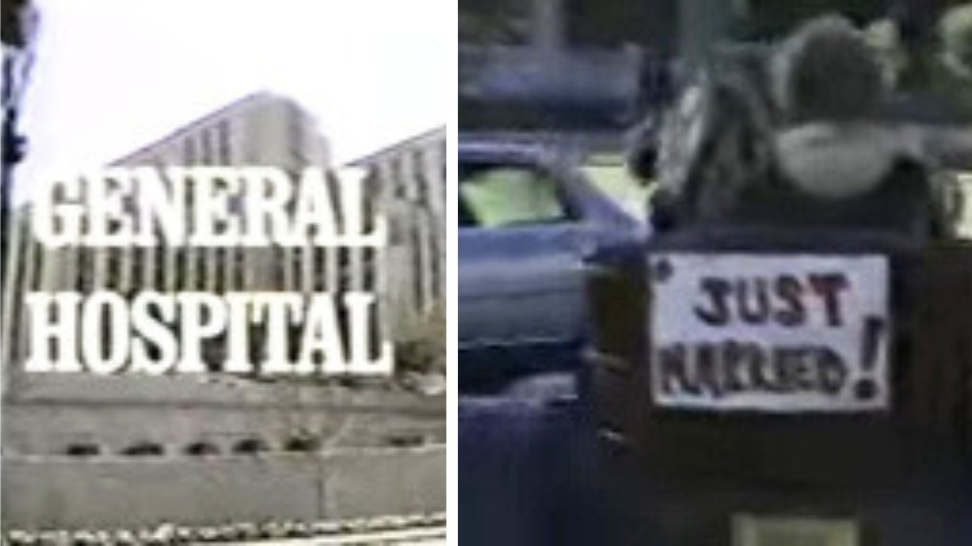 Luke and Laura rode off to their honeymoon despite Scotty&#039;s return to General Hospital | Image: YouTube