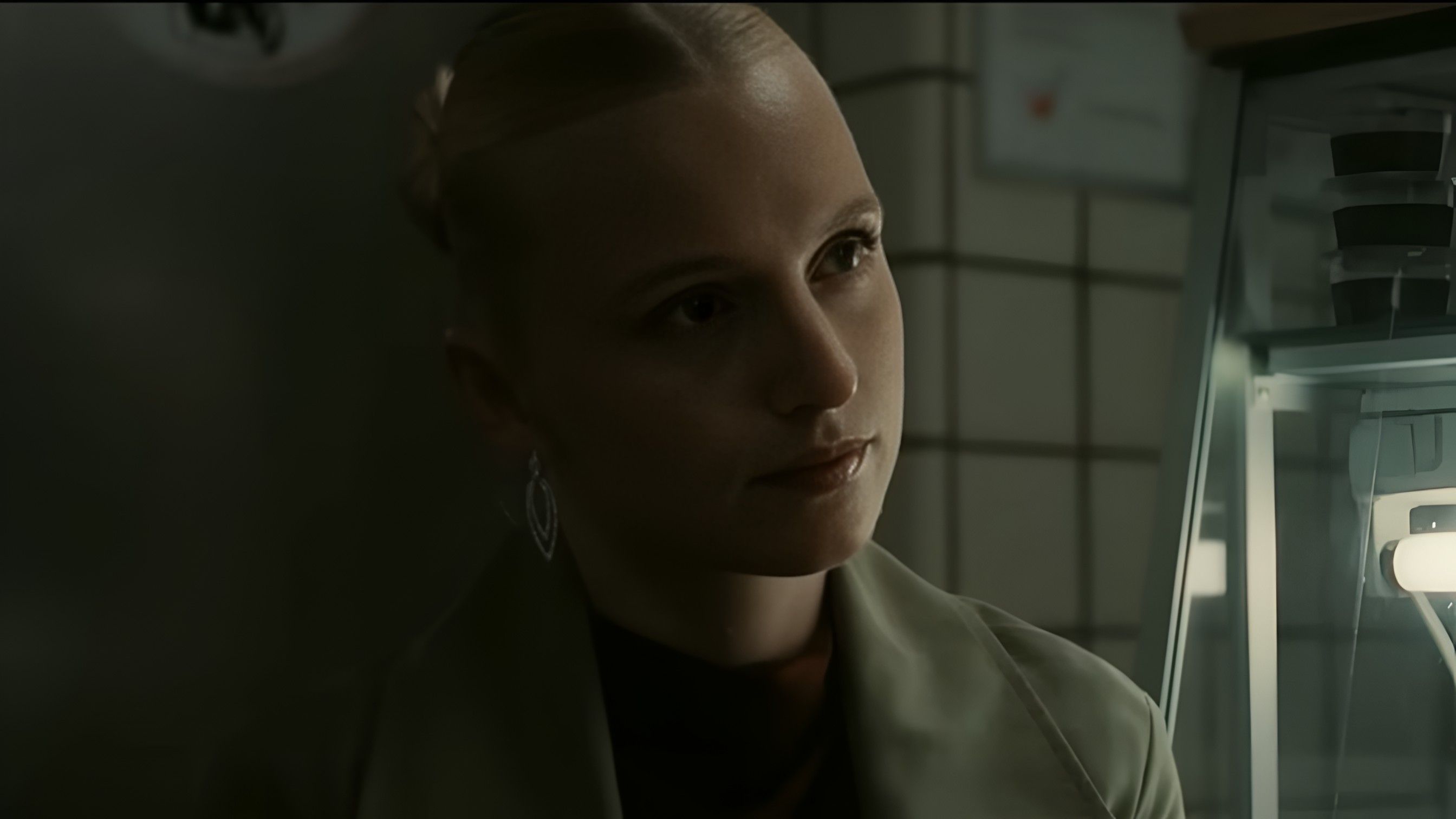 The Asset  ( Image via YouTube / Netflix )