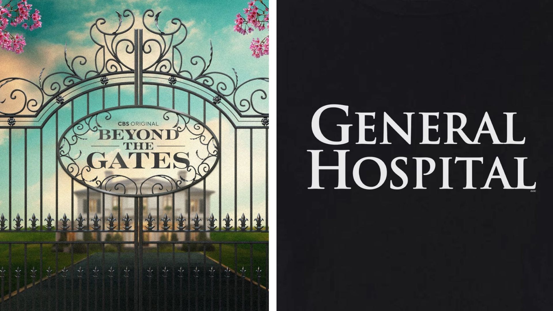 Show logos for Gh and BTG 