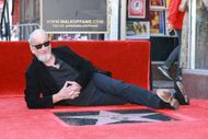 Robert Englund Honored With A Star On The Hollywood Walk Of Fame - Source: Getty