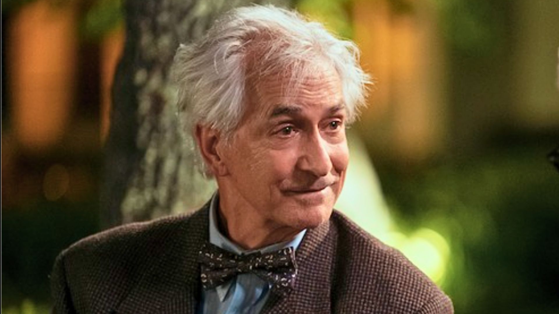 David Strathairn stars as the literature professor Dr. Ben Cole in A Man on the Inside Season 2 (Image via Netflix)