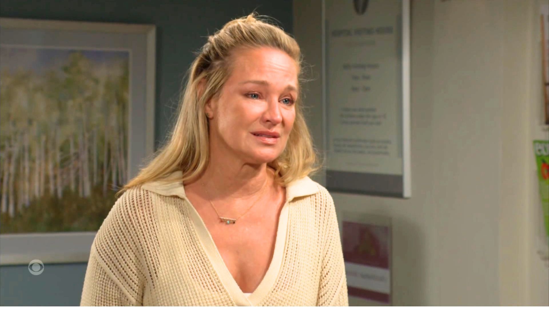 Sharon Case (Sharon) on The Young and the Restless | Image: CBS