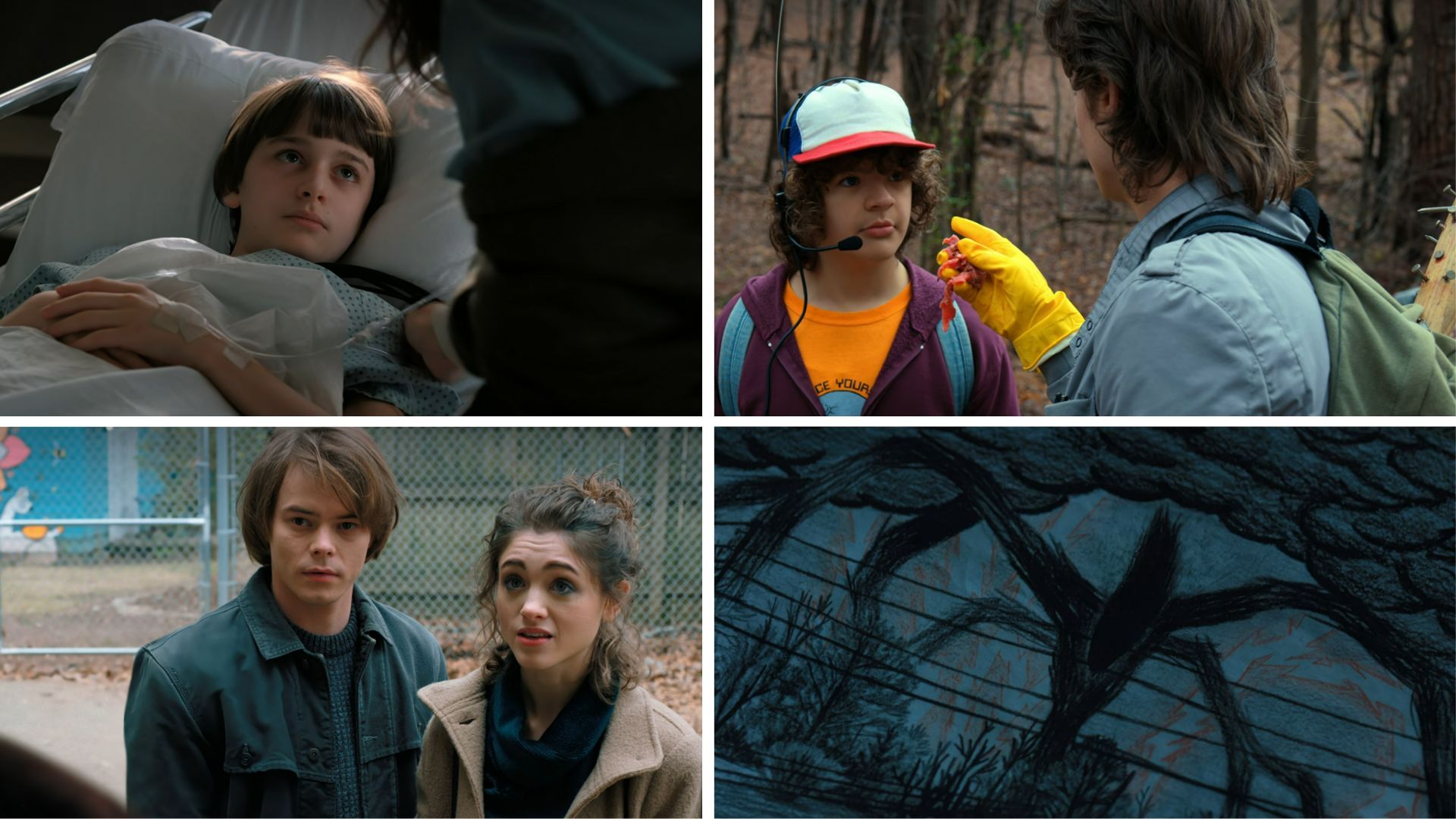 Stills from Stranger Things Season 2 Chapter 6 &ldquo;The Spy&rdquo; (Image Via: Netflix)