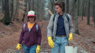 Steve and Dustin (Image via Netflix)