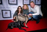 Stand Up For Pits With Rebecca Corry - Source: Getty