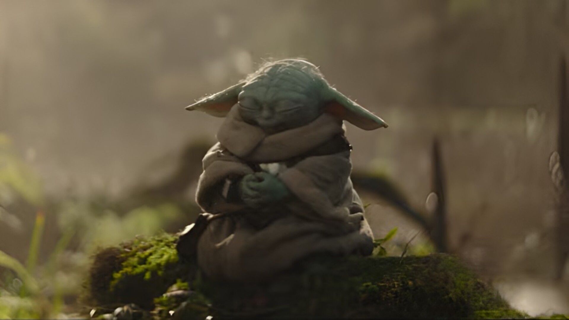 Why ‘May the 4th’ is blowing up online? The real Star Wars origin explained